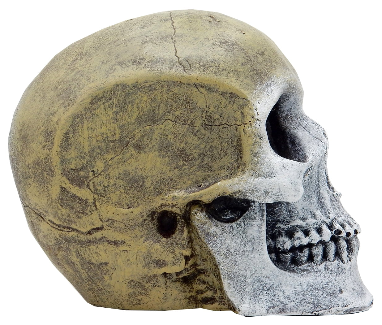 Aqua Culture Human Skull Aquarium Ornament - Gray