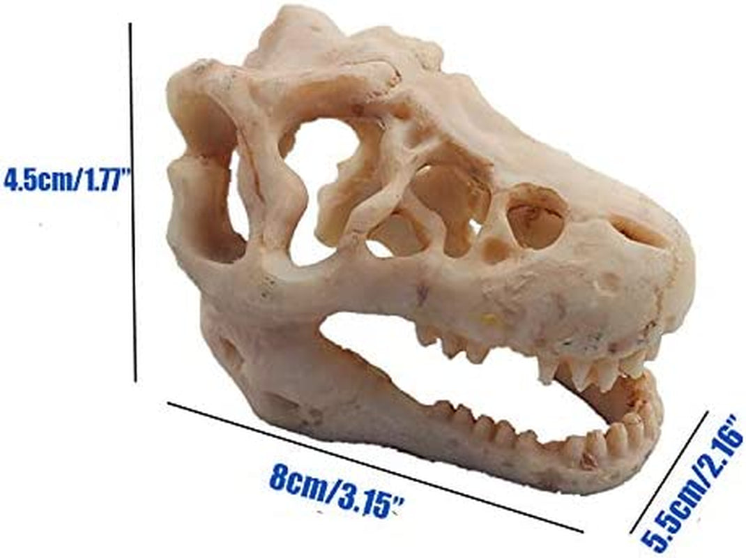 Resin Dinosaur Skull Aquarium Ornament Mini Dinosaur Tank Decoration Betta Fish Small Dinosaur Skull Fish Reptile Tank with Holes Aquarium Landscape Reptile Hideout Caves (1)