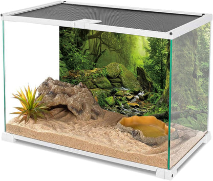 AWERT Tropical Forest Terrarium Background Stream Green Huge Tree Reptile Habitat Background Foggy Rainforest Aquarium Background 30X18 Inches Polyester Background