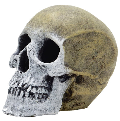 Aqua Culture Human Skull Aquarium Ornament - Gray