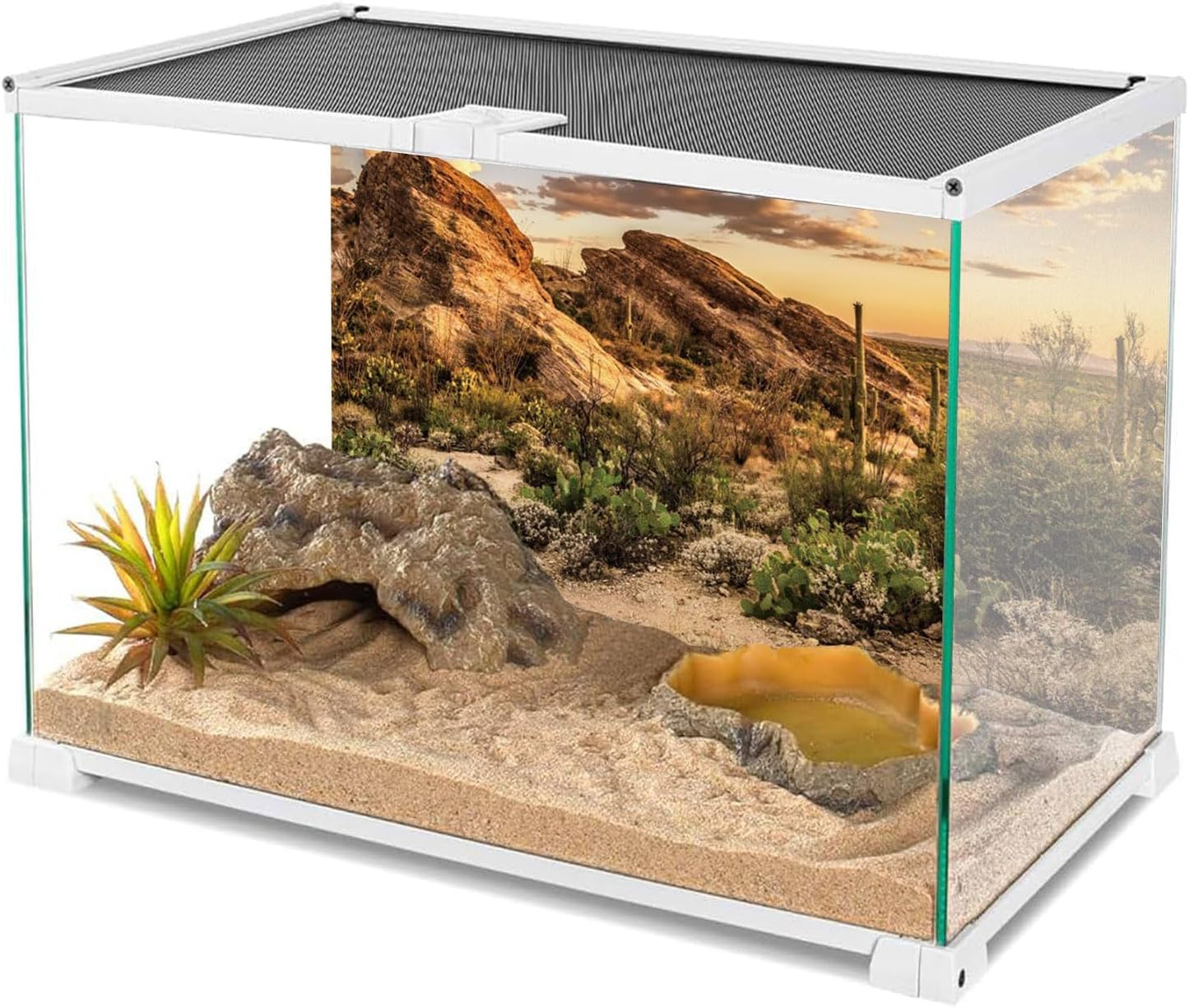 AWERT Reptile Habitat Background Blue Sky Oasis Cactus Sun and Desert Terrarium Background 36X24 Inches Durable Polyester Background