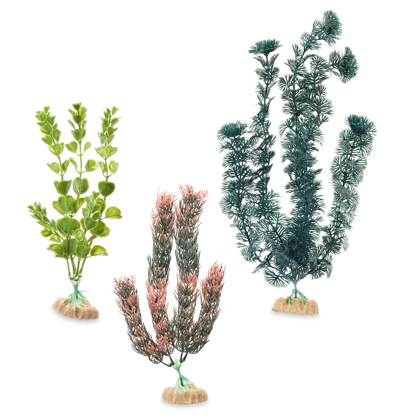 Aqua Culture Moneywort, Cabomba & Foxtail Aquarium Plant Assortment (Style Will Vary)