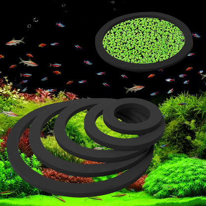 Fish Feeding Supplies Plastic Buoyancy Circle 5Pcs 2Colors for Feeder Square/Round Feeding Ring Aquarium Floating Food