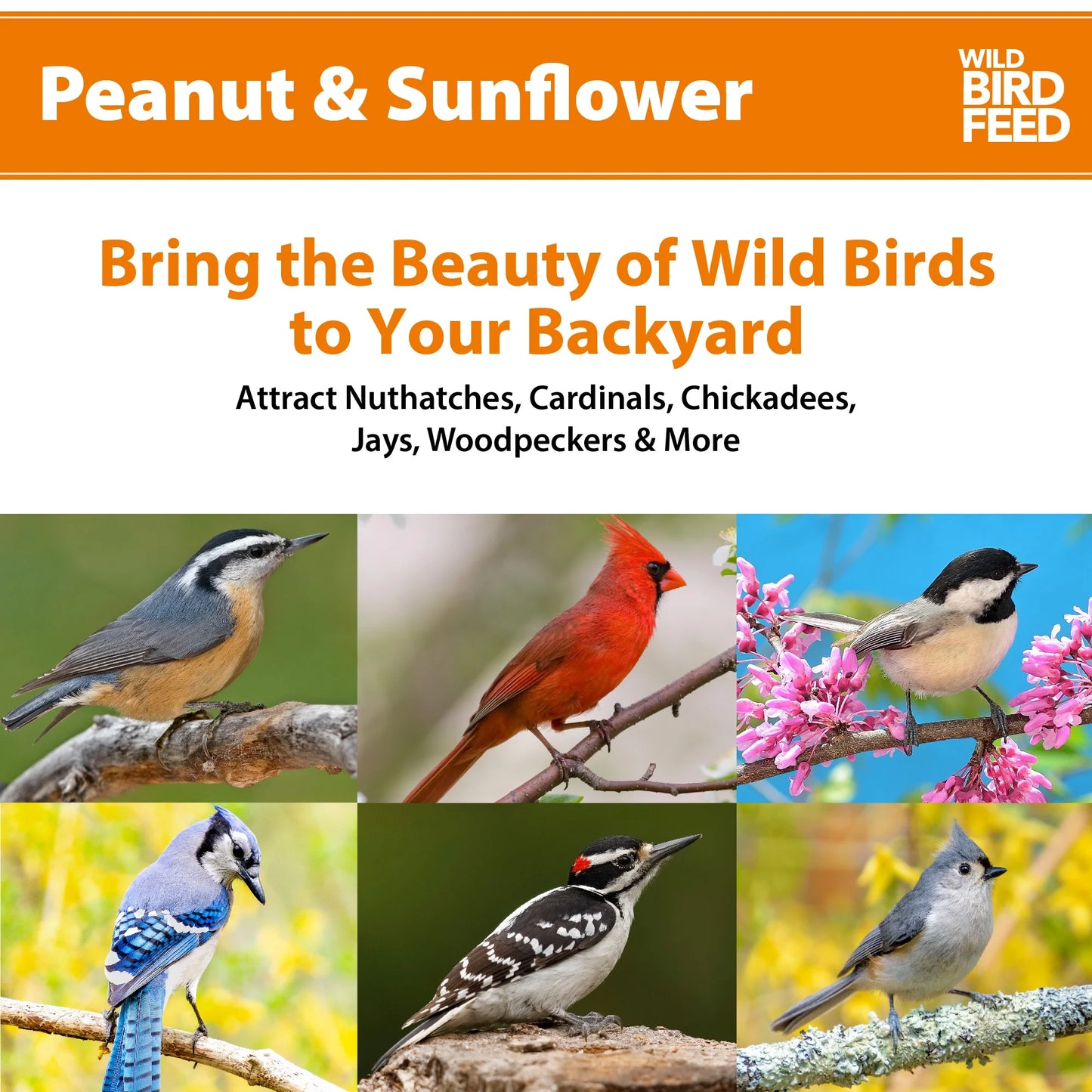 Peanut & Sunflower Wild Bird Feed and Seed, Dry, 1 Count per Pack, 20 Lb. Bag