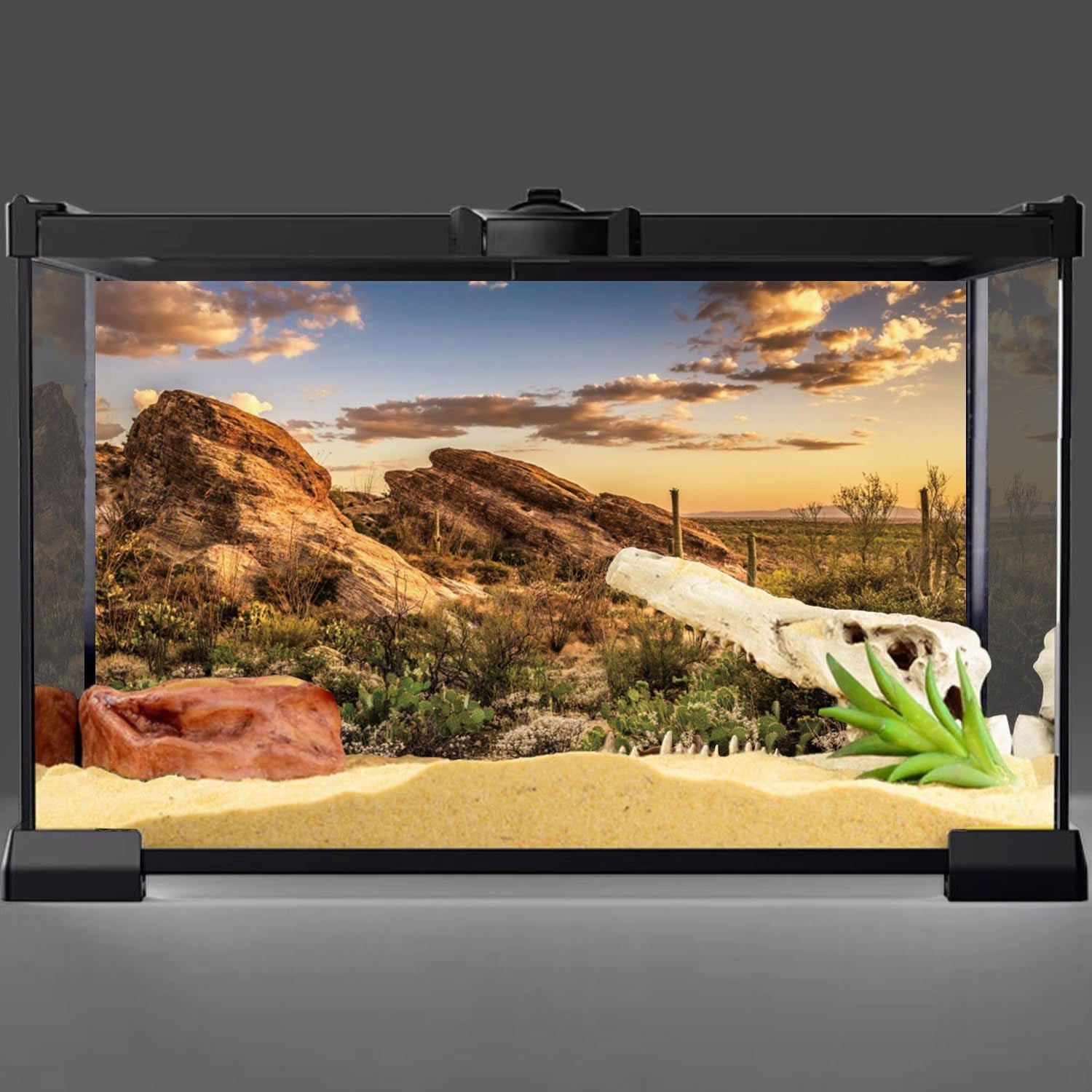 AWERT Reptile Habitat Background Blue Sky Oasis Cactus Sun and Desert Terrarium Background 36X24 Inches Durable Polyester Background