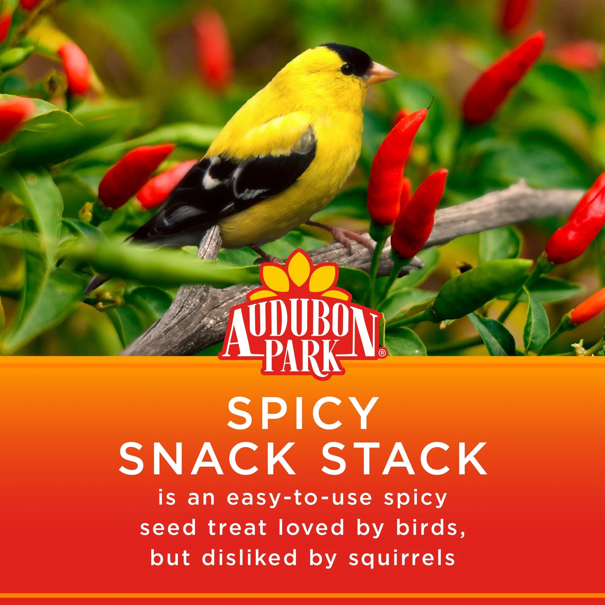 Spicy Snack Stack Wild Bird Food, Dry, 1 Count per Pack, 7 Oz.