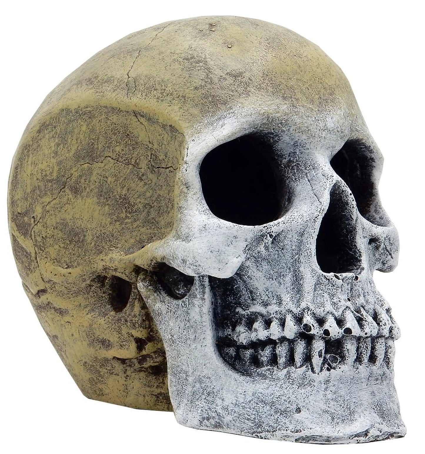 Aqua Culture Human Skull Aquarium Ornament - Gray