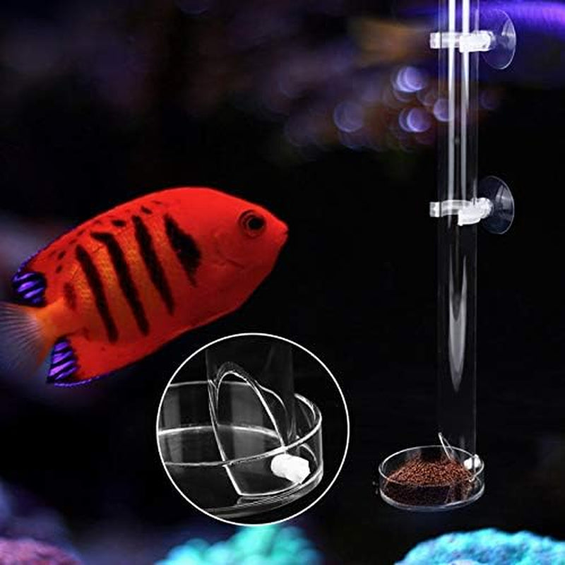 GLOGLOW Aquarium Feeder, Acrylic Transparent Fish Feeding Tube with Tray Aquarium Fish Shrimp Feeder with Fixing Bracket Suction Cups(32Cm)