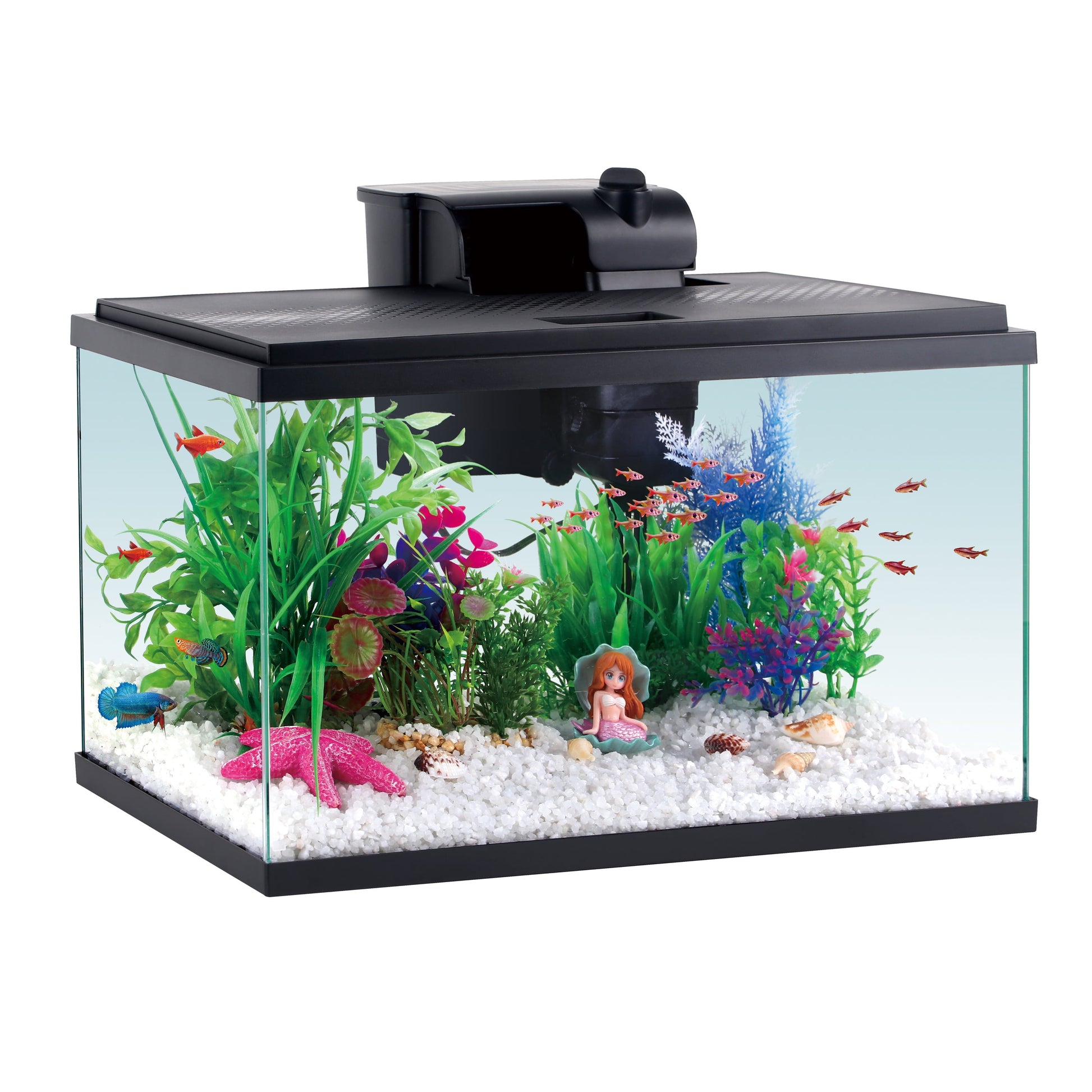 Aqua Culture 5 Gallon Glass Aquarium Starter Kits