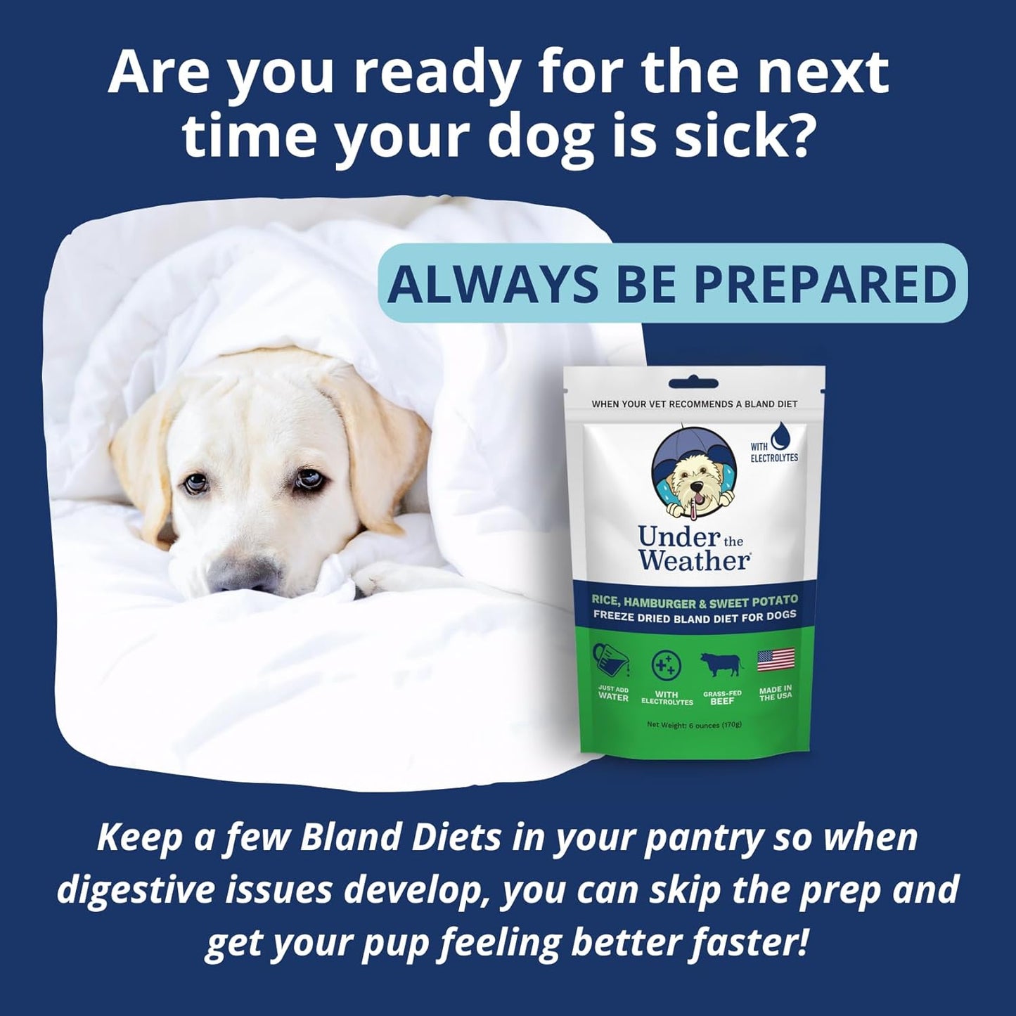 Bland Diet for Dogs | Easy to Digest for Sick Dogs |Always Be Ready| Contains Electrolytes - Natural Freeze Dried 100% Human Grade Meats| 1 Pack- Rice, Hamburger & Sweet Potato - 6Oz