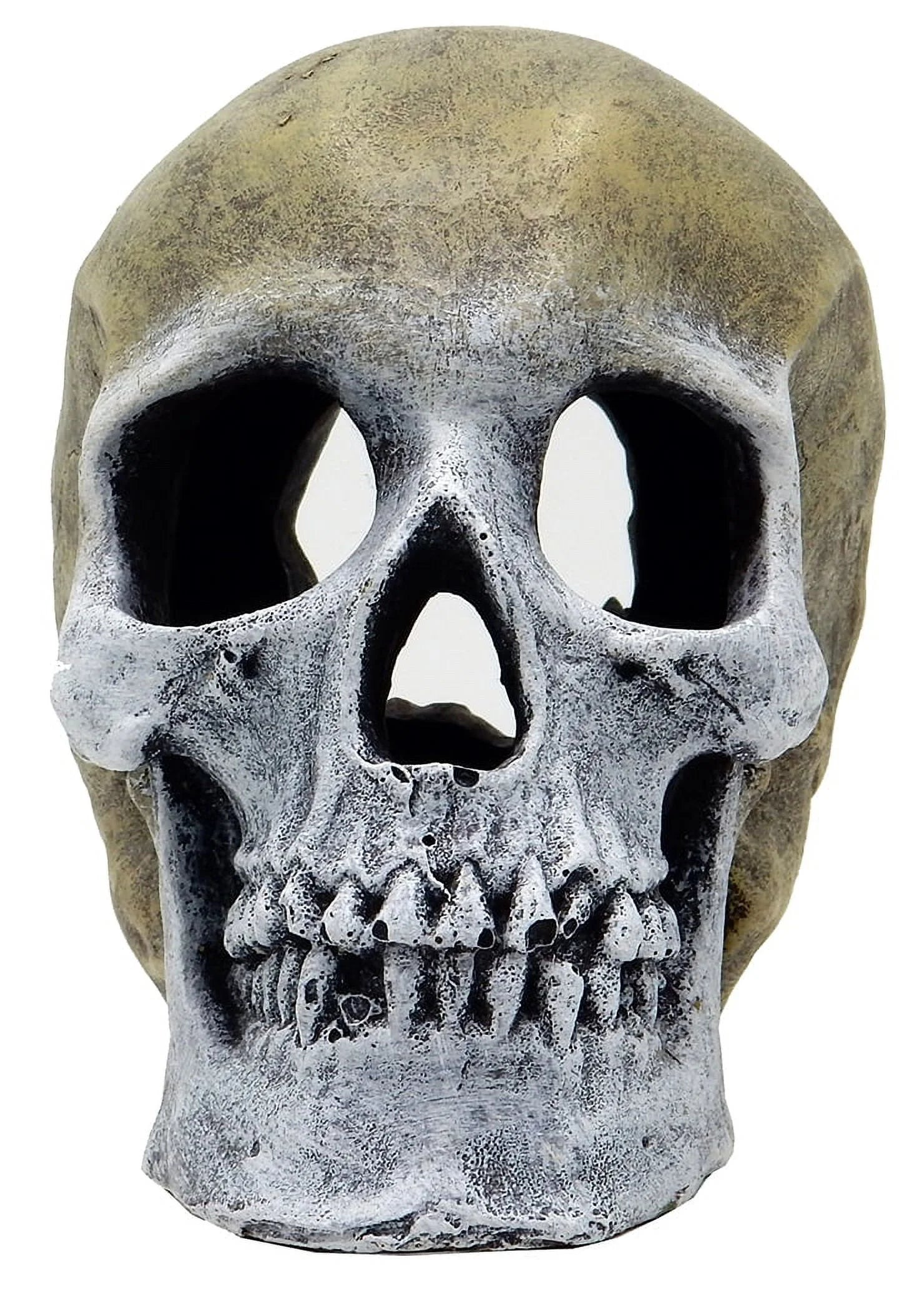 Aqua Culture Human Skull Aquarium Ornament - Gray