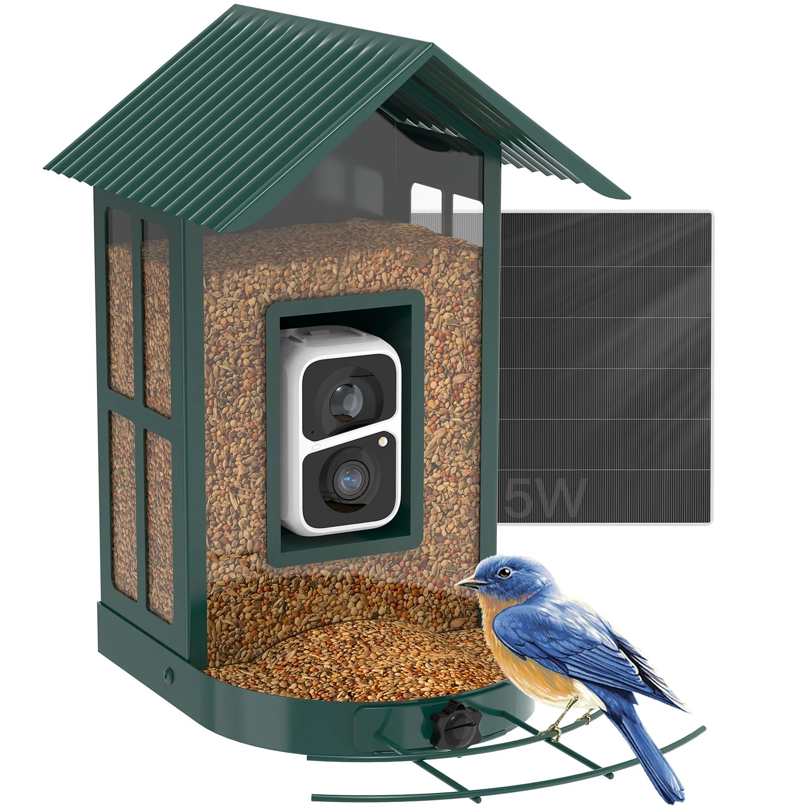 Soliom BF08 Smart Bird Feeder Camera with AI Identify Bird Species, Wild Bird Watching Cam, Live View, Instant Notifications, 5W Solar Panel -Metal Case