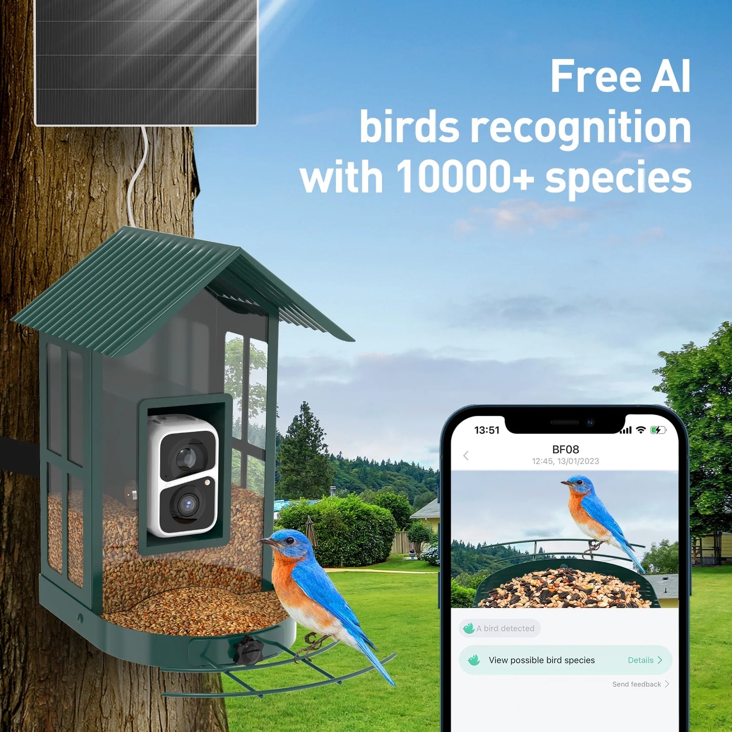 Soliom BF08 Smart Bird Feeder Camera with AI Identify Bird Species, Wild Bird Watching Cam, Live View, Instant Notifications, 5W Solar Panel -Metal Case