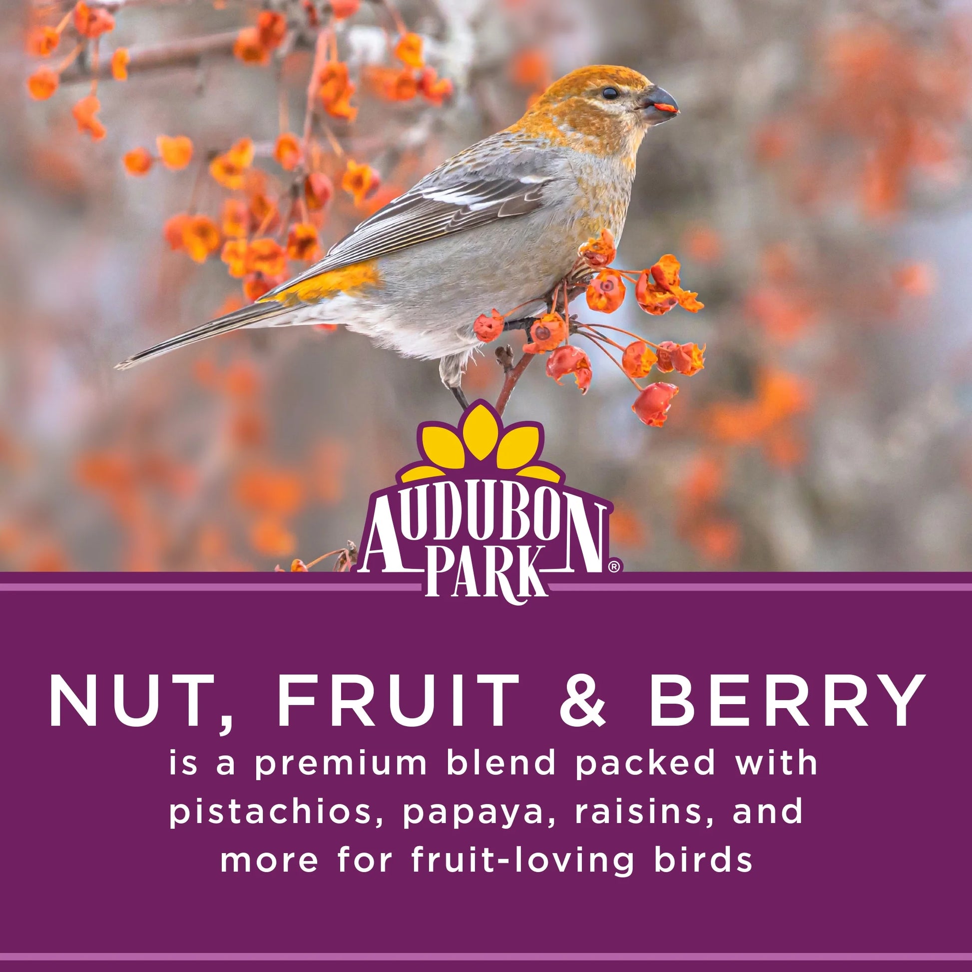 Nut, Fruit & Berry Wild Bird Food, Dry, 1 Count per Pack, 15 Lbs.