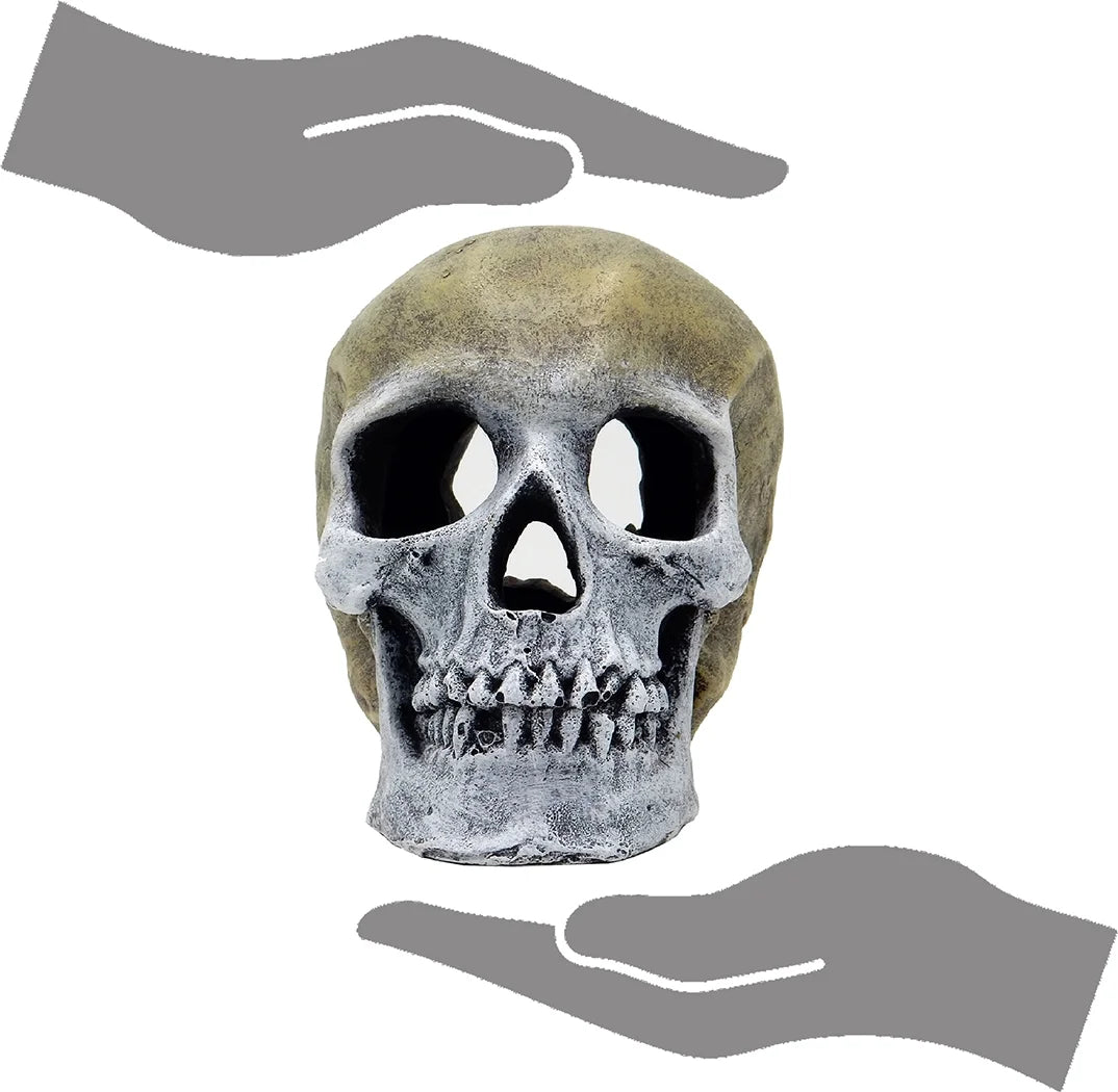 Aqua Culture Human Skull Aquarium Ornament - Gray