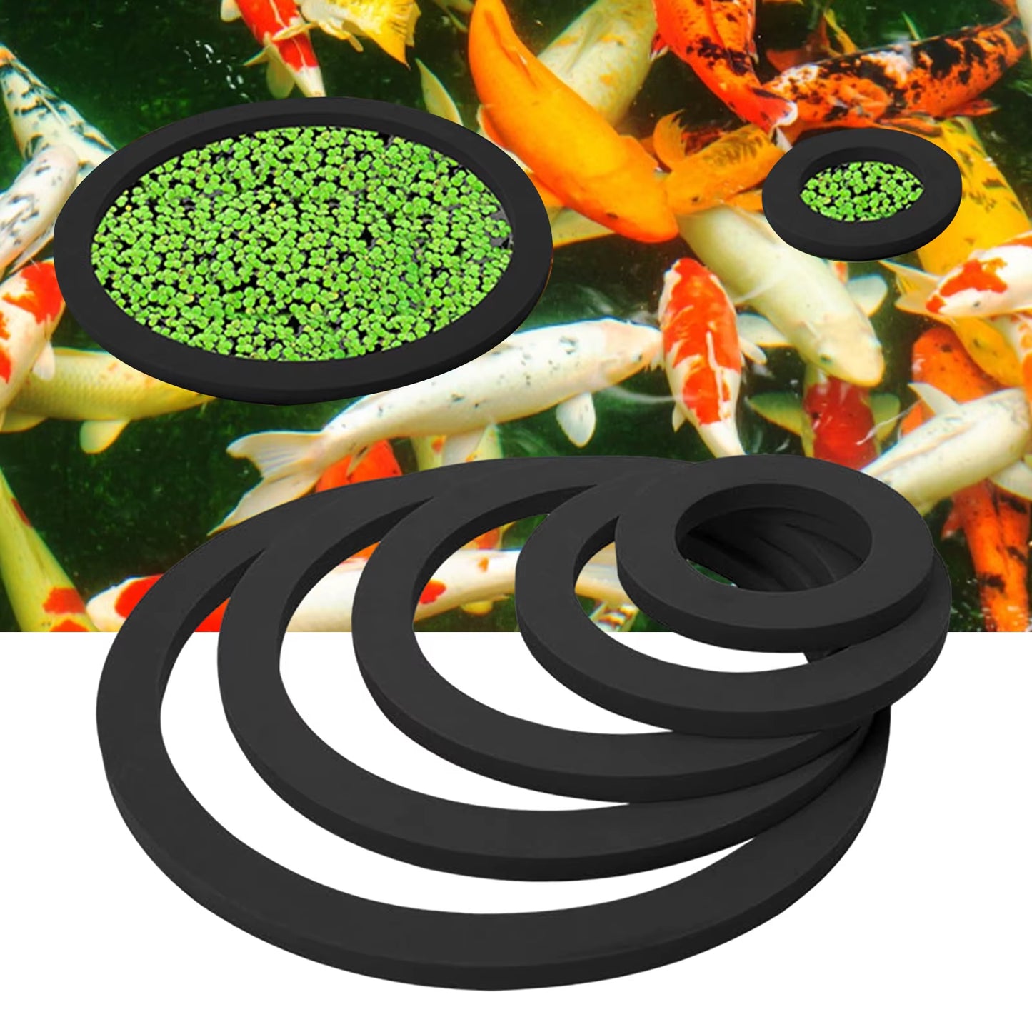 Fish Feeding Supplies Plastic Buoyancy Circle 5Pcs 2Colors for Feeder Square/Round Feeding Ring Aquarium Floating Food